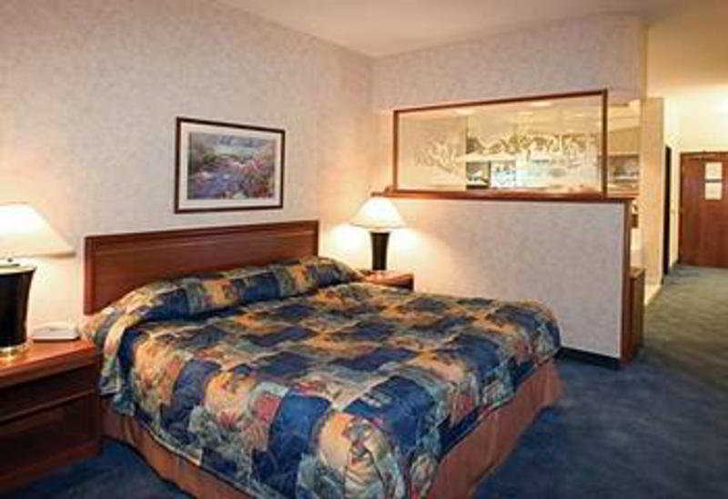 Holiday Inn Twin Falls By Ihg Værelse billede
